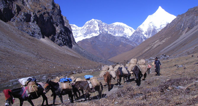 Bhutan Jomal Hari Trekking